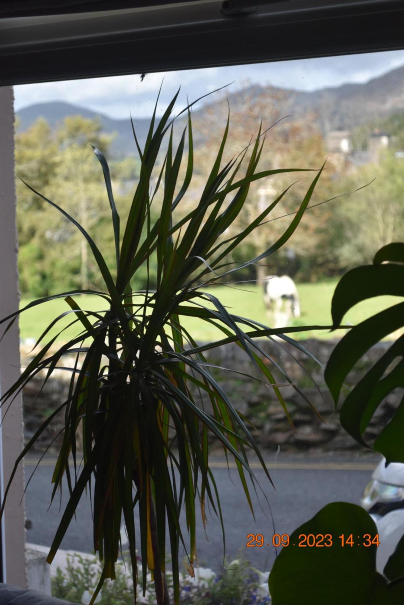 Ty Alban Vila Ffestiniog Exterior foto